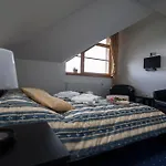 Krusnohorsky Dvur 3* Cínovec