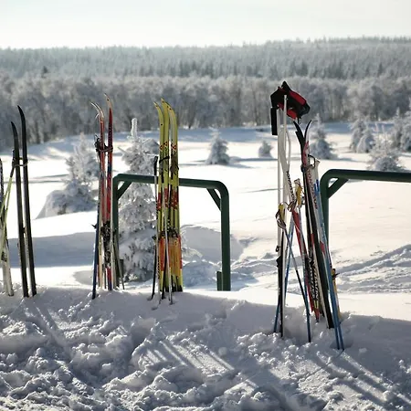 Krusnohorsky Dvur Отель Cinovec