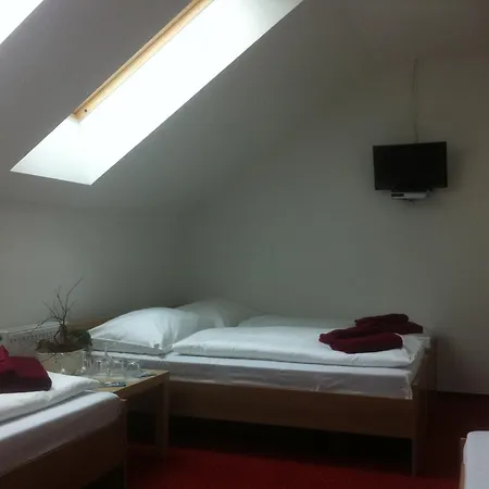 Hotel Krusnohorsky Dvur Cinovec