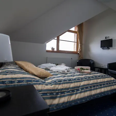 Krusnohorsky Dvur 3* Cínovec