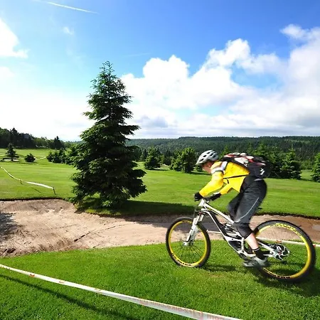 Krusnohorsky Dvur 3* Cínovec