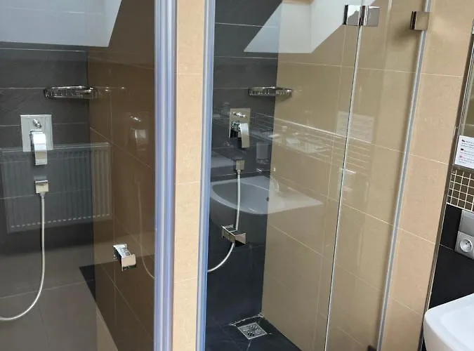 Krusnohorsky Dvur 3* Cínovec