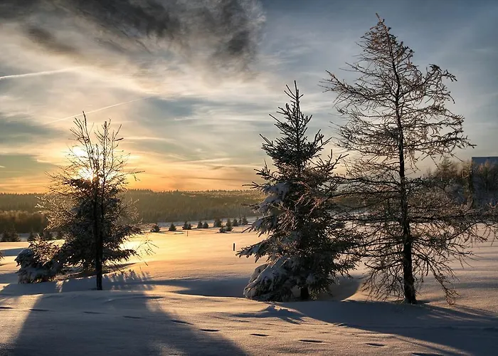 Hotel Krusnohorsky Dvur Cínovec