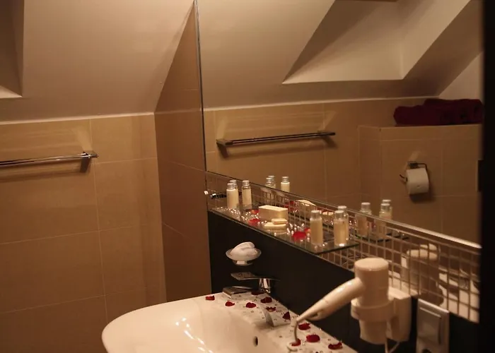 Krusnohorsky Dvur Hotel 3*