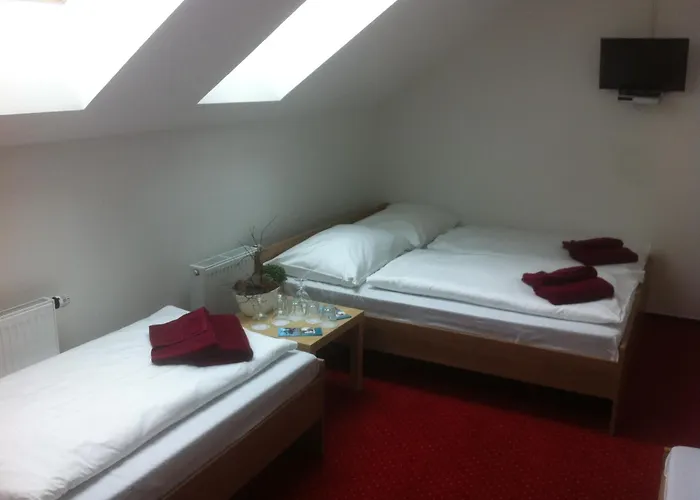 Hotel Krusnohorsky Dvur 3*
