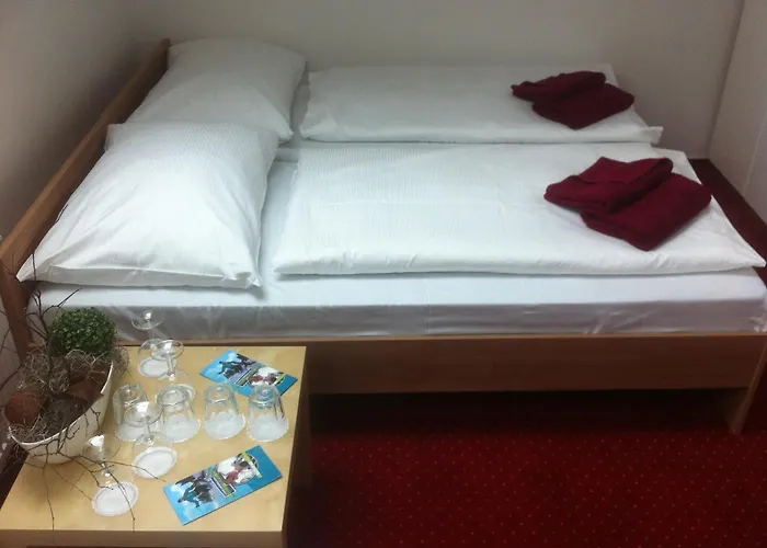 Krusnohorsky Dvur Hotel Cínovec