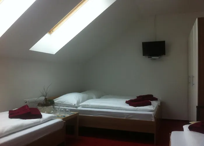 Hotel Krusnohorsky Dvur Cínovec