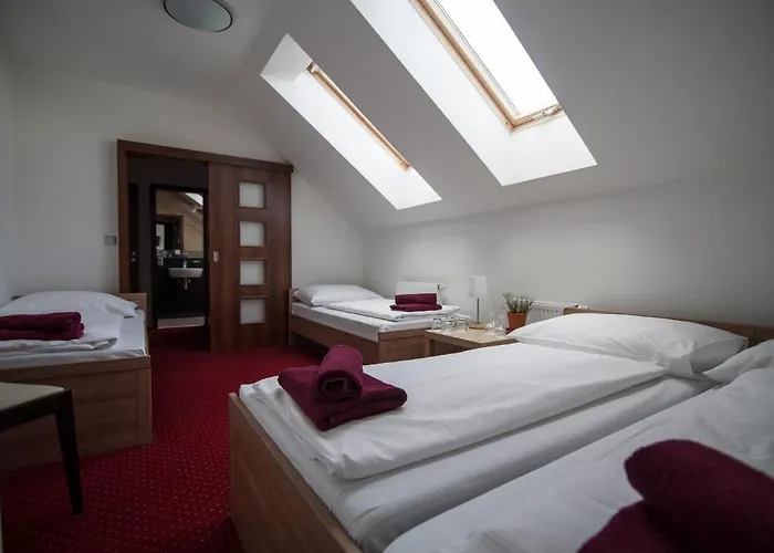 Hotel Krusnohorsky Dvur Cínovec
