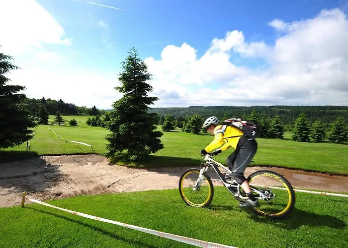Krusnohorsky Dvur 3* Cínovec